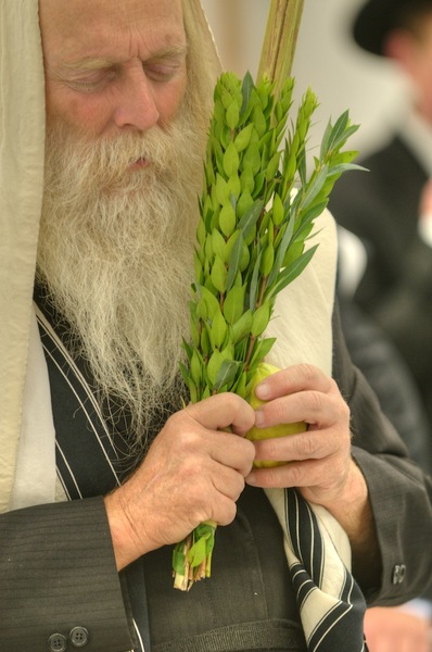 Reb Shloma
